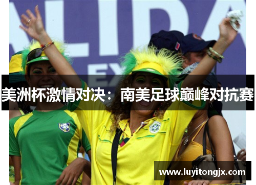 美洲杯激情对决：南美足球巅峰对抗赛