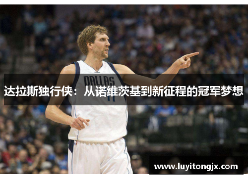 达拉斯独行侠：从诺维茨基到新征程的冠军梦想