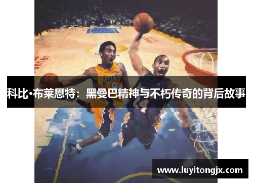 科比·布莱恩特：黑曼巴精神与不朽传奇的背后故事